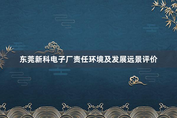 东莞新科电子厂责任环境及发展远景评价